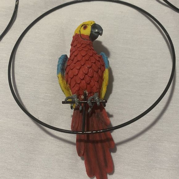 Parrots 🦜 - Picture 4 of 13